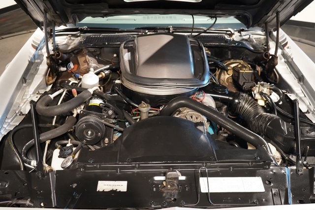 1979 Pontiac Firebird Trans AM WS6 Base