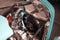 1930 Ford Model A Base